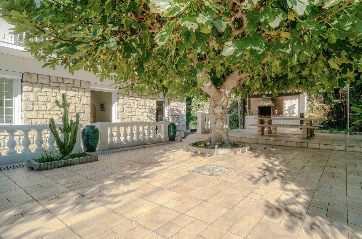 VILLA  PARK   NICE MONT BORON