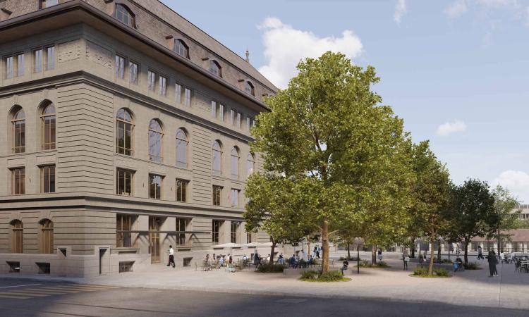 Magnifique surface au centre-Ville