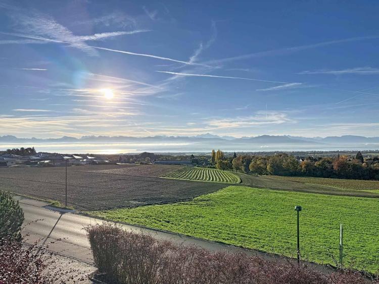 Somptueuse vue imprenable sur les Alpes et le jet d'eau de Genève