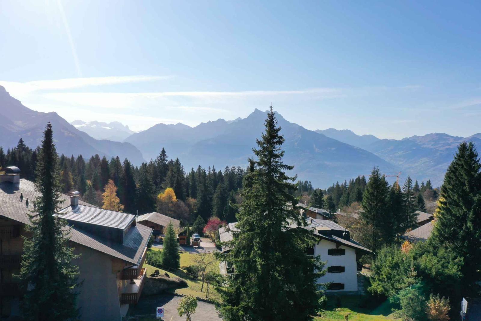 SKI-IN SKI-OUT ! Appartement traversant au cœur du Domaine de la Résidence