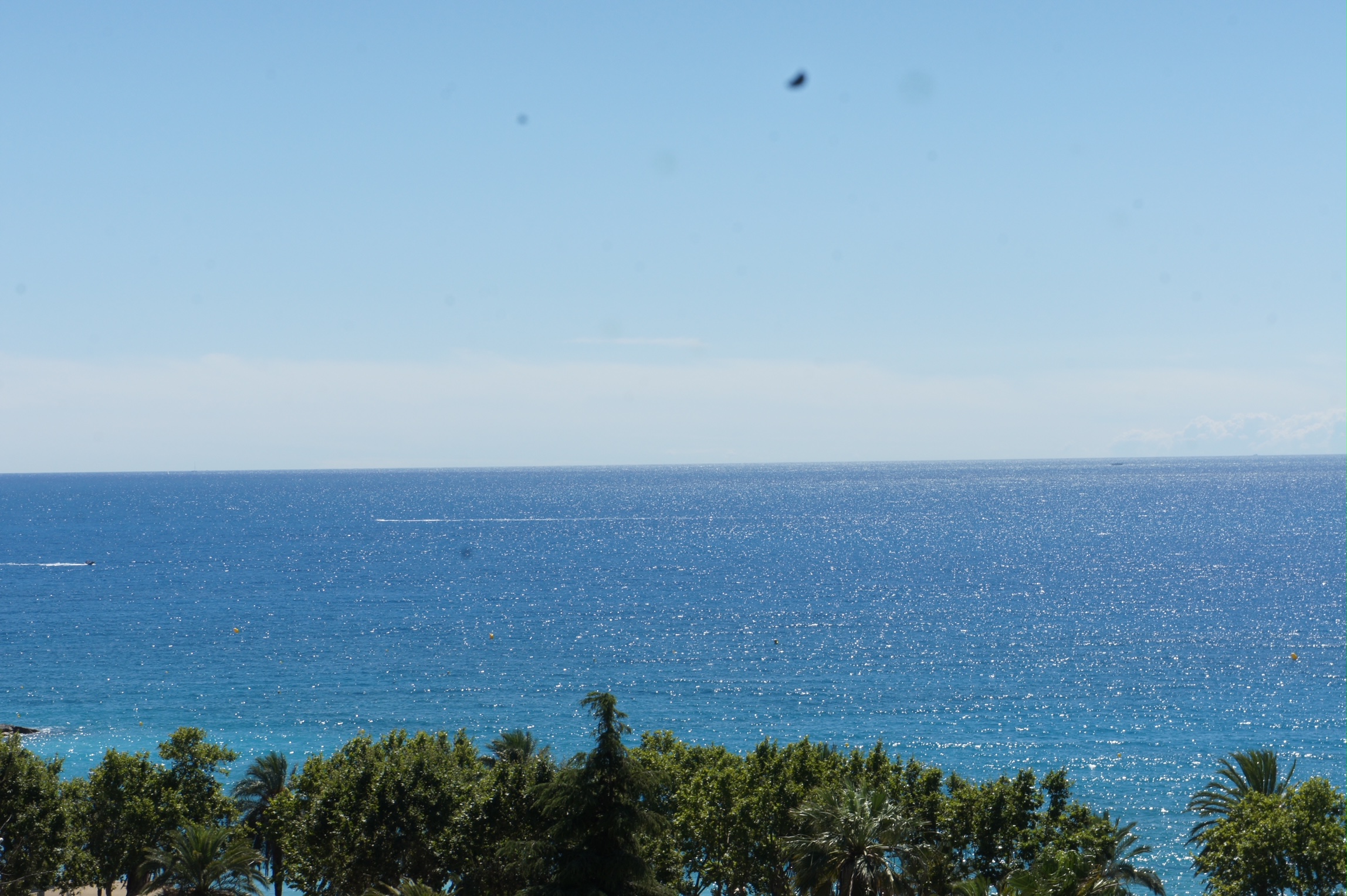 ti1o8_dsc05773-1775665537.jpg