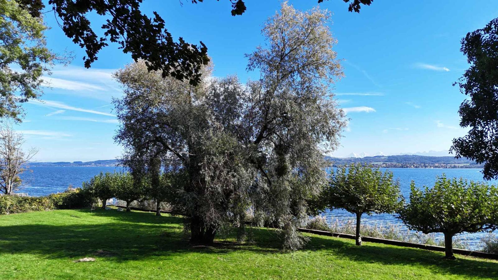 Un lieu riche d’histoire, face au lac de Morat