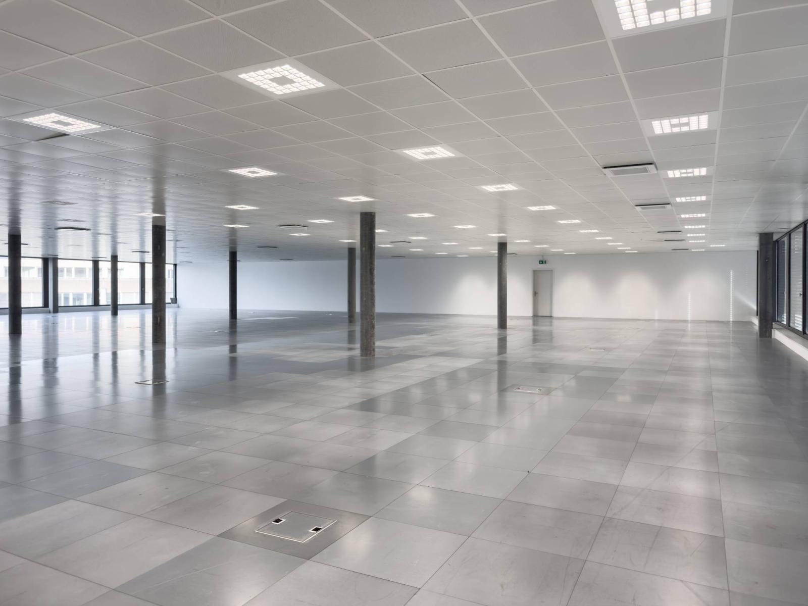 Magnifiques surfaces commerciales/bureaux à louer à Plan-les-Ouates