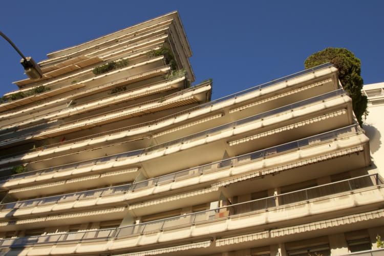 JARDIN EXOTIQUE - BEL HORIZON - STUDIO 