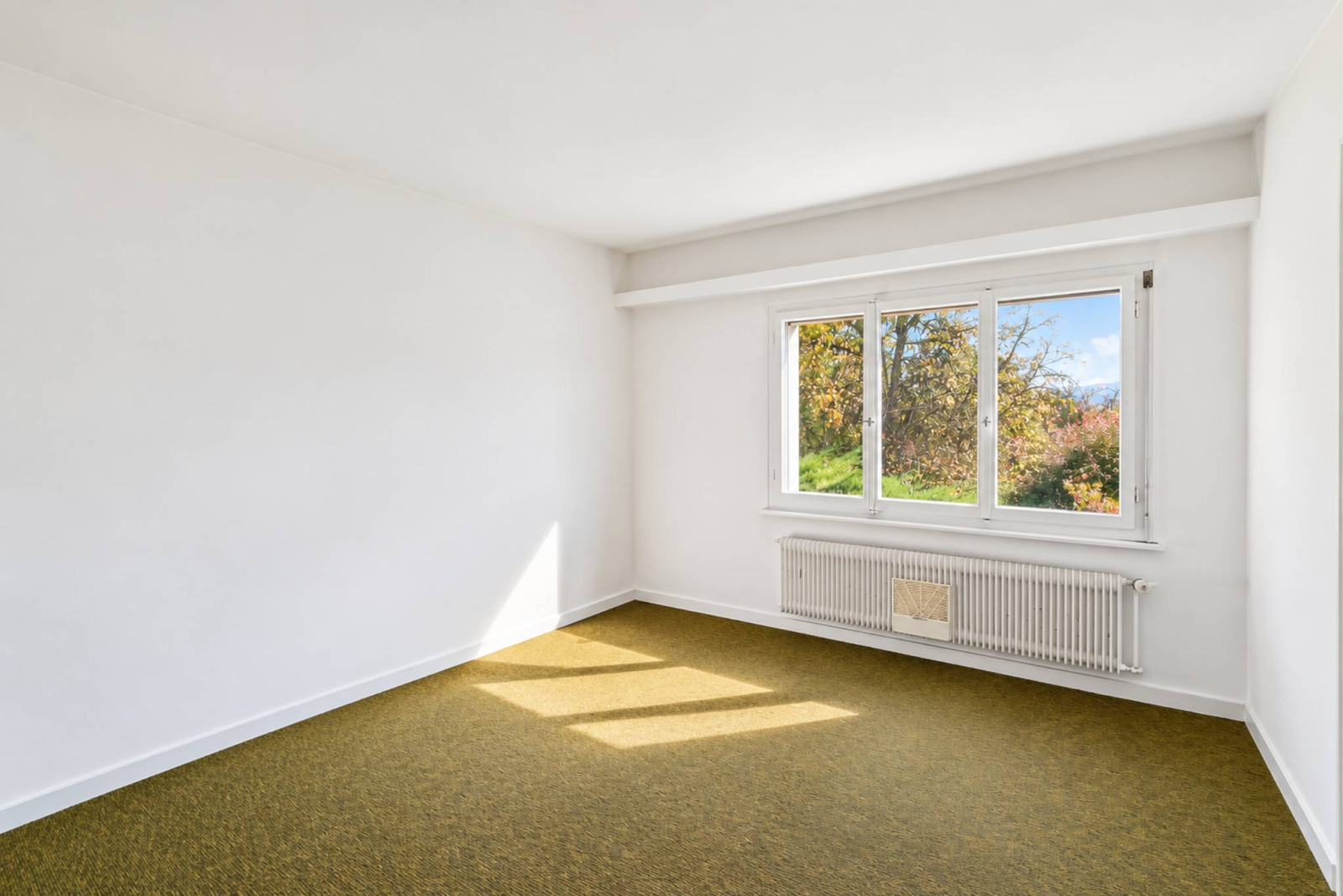 Villa individuelle sur une vaste parcelle de plus de 8'000 m²