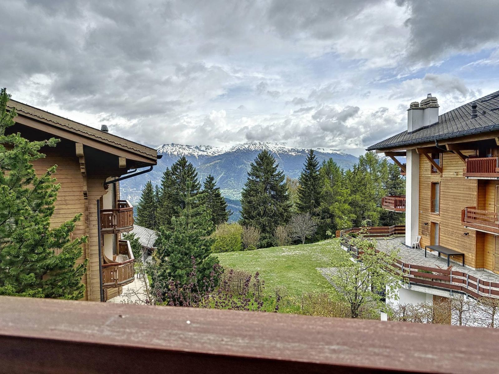 Magnifique chalet à deux pas du centre de la station d'Anzère