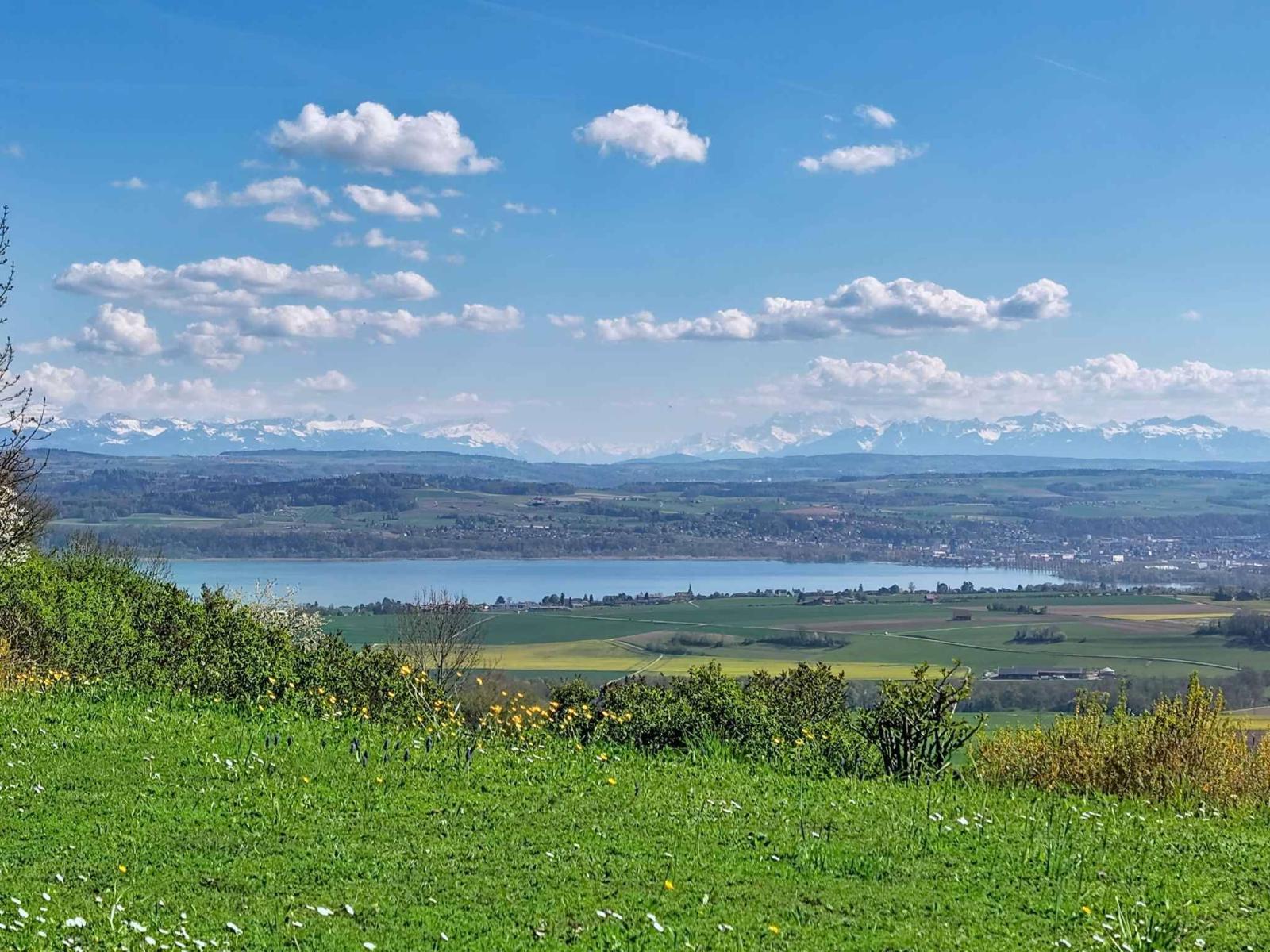 Propriété d’exception - Art de vivre entre ciel, lac et montagnes