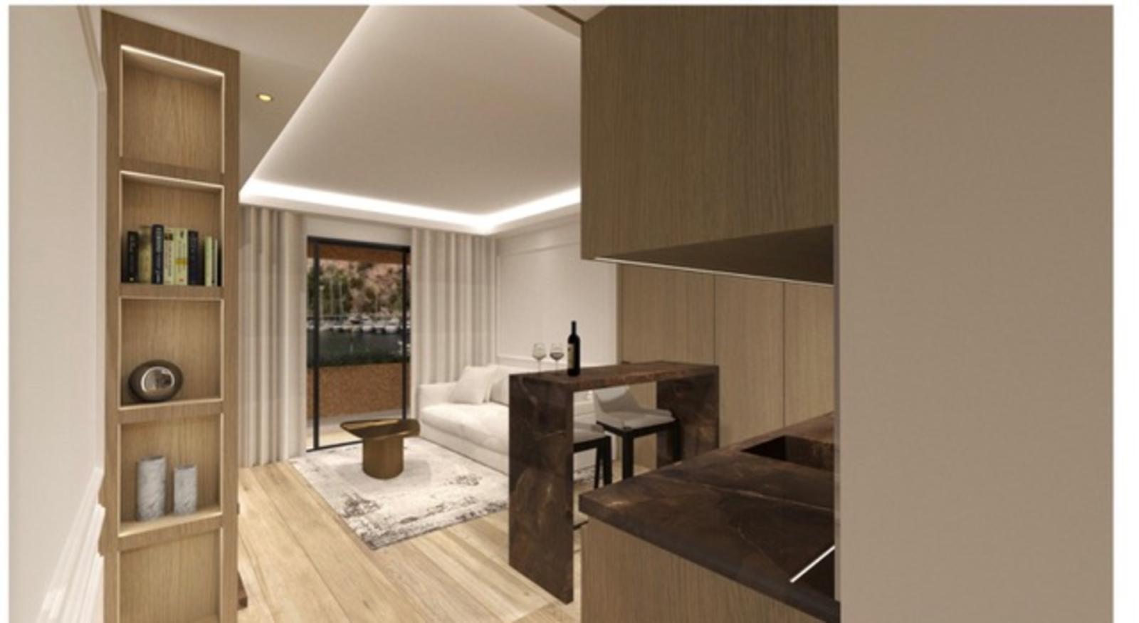 Belle vue port de Fontvieille