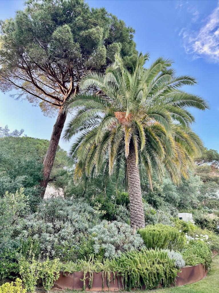 Villa dans les parc de Saint Tropez - Location Saisonnière