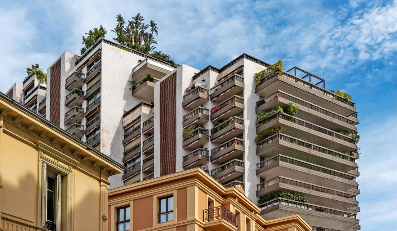 Viviani Champfleury Barco